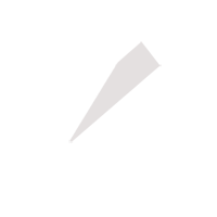 宁德临时保镖服务